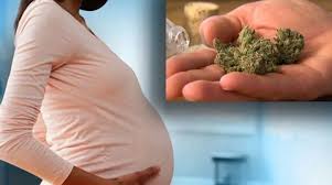 Progressively pregnant ladies in the US are utilizing pot, study finds