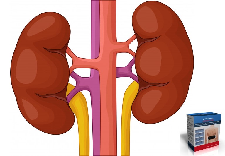 New facts that kidney stones surgeries are risky, states Fine Treatment