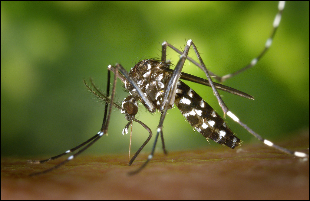 In eastern Washington First instances of West Nile Virus detailed