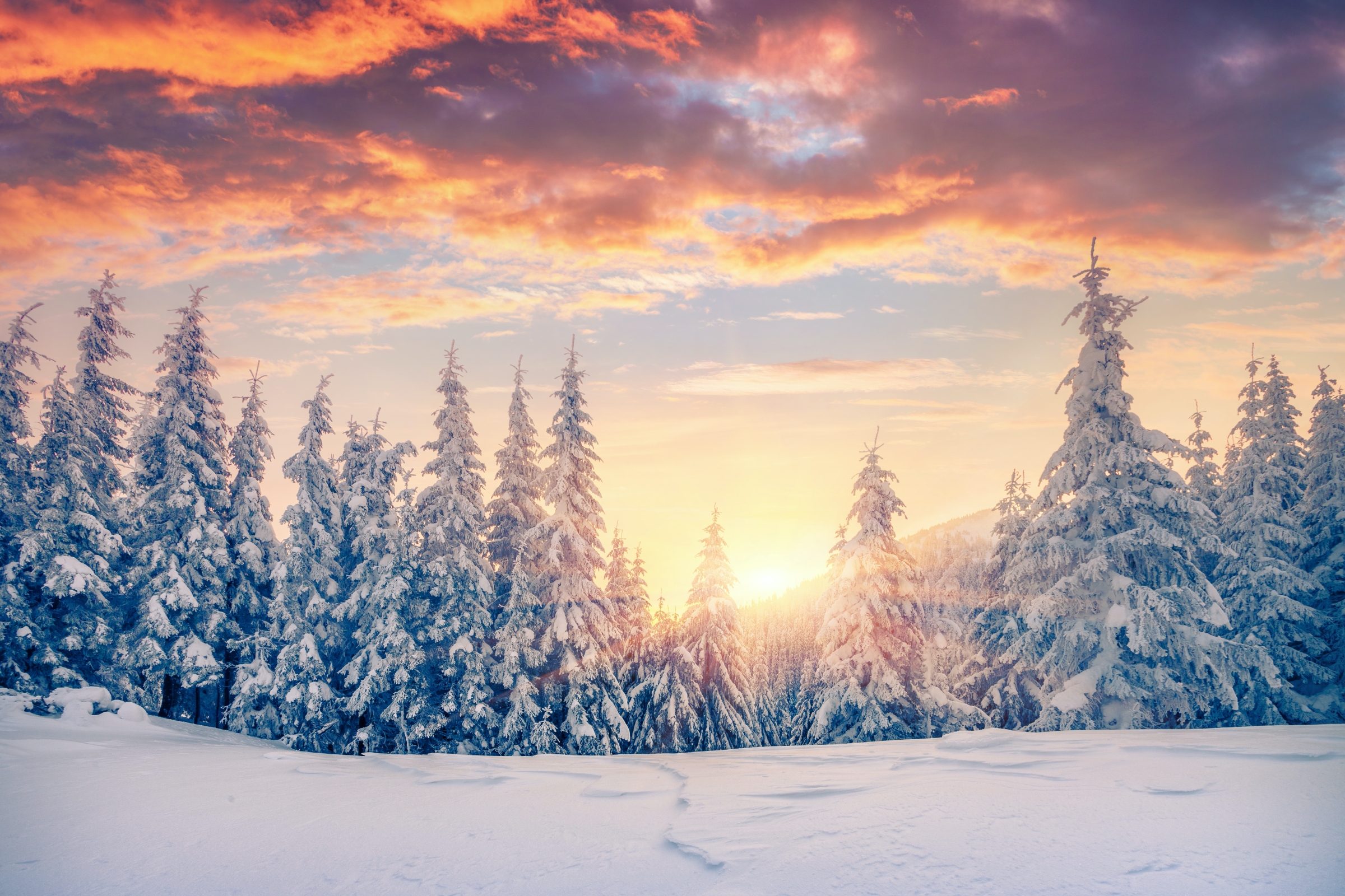 2020 Winter Solstice : What is Solstice? Know when is Winter Solstice and Why does it happen