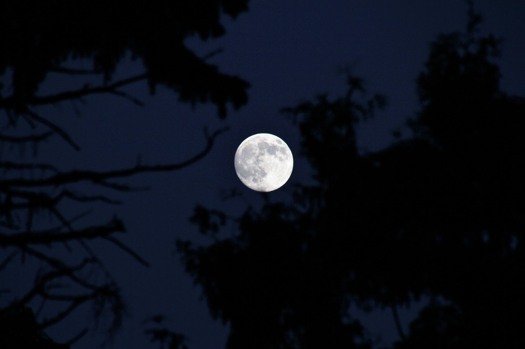 The first full moon of 2021 : When to watch the ‘Wolf Moon’