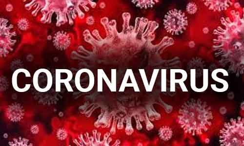 USA: Mystery on the origin of the coronavirus to be solved at last