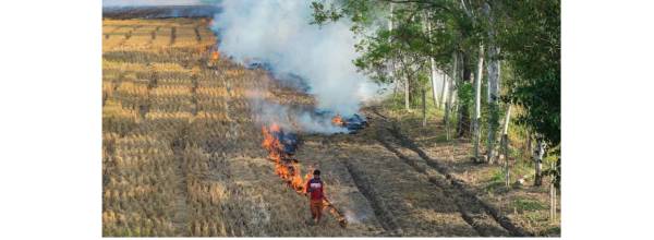 A bird’s-eye view of farm fires in Haryana, Punjab since 2016