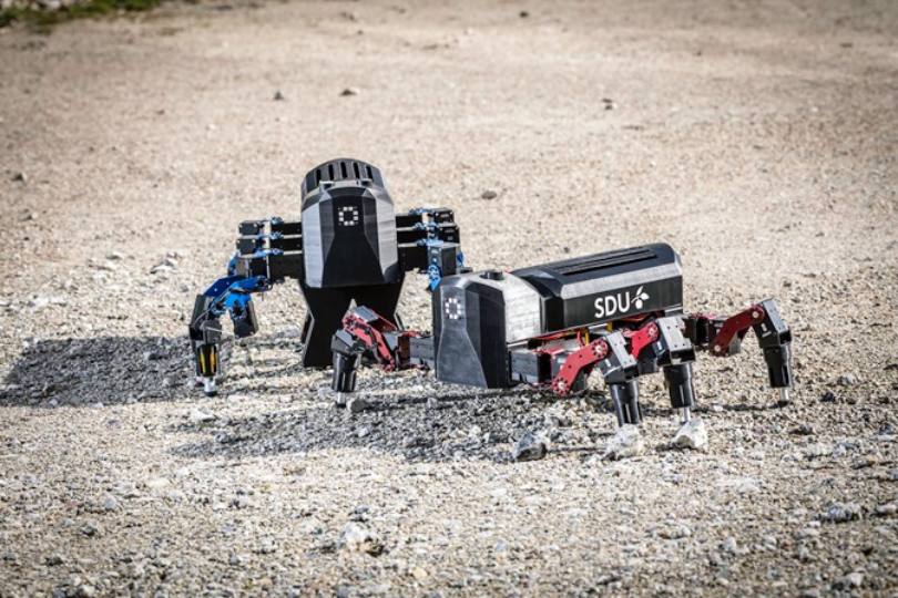 New Bioinspired Robot Flies, Rolls, Strolls, from there, the sky is the limit