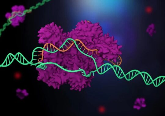 Meet ‘Fanzor,’ the first CRISPR-like framework tracked down in complex life