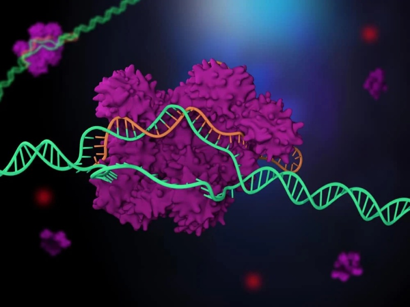 Meet ‘Fanzor,’ the first CRISPR-like framework tracked down in complex life