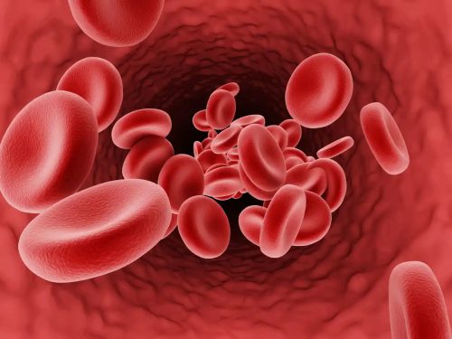 A Promising, Curative Treatment For Sickle Cell Disease May Be Provided Via Stem Cell Gene Therapy
