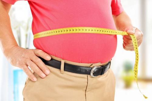 New Information About The Control Of Fat Metabolism Is Discovered By IBS Researchers