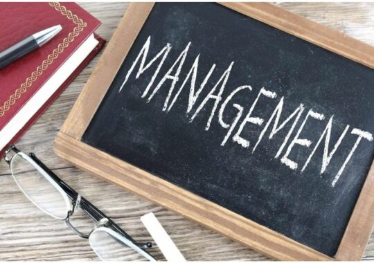 The Role of Management Consultancy in Driving Change