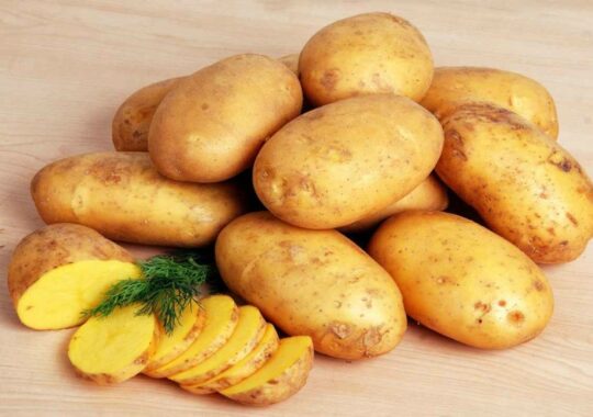 The United States Dietary Committee determines if potatoes are a grain or a vegetable