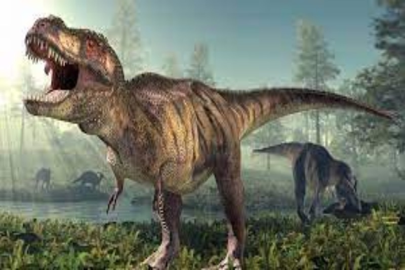 An even larger and older relative of T. rex was found in New Mexico