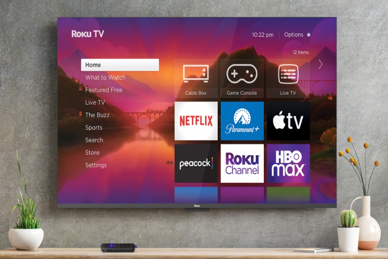 Roku has announced that its new line of premium TVs will debut in the spring