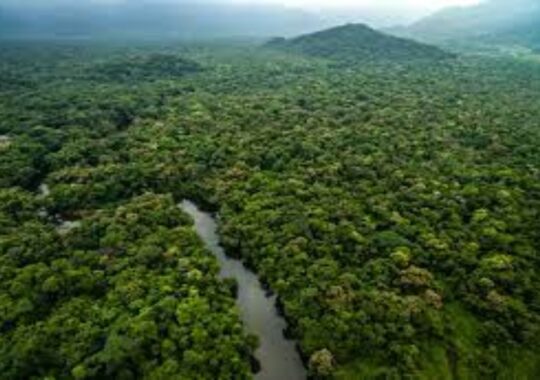 enormous network of prehistoric cities found in the Amazon rainforest