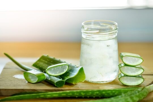 Aloe Vera 5 Ways to Consume for Weight Loss