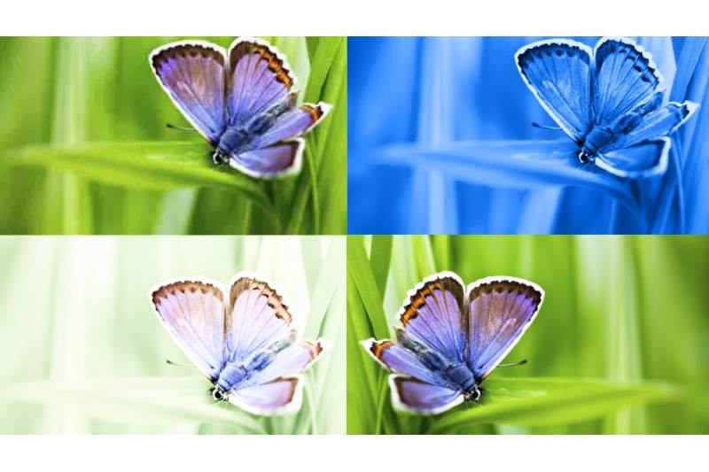 AI Image Detection: Google Photos Adds Invisible Watermarks